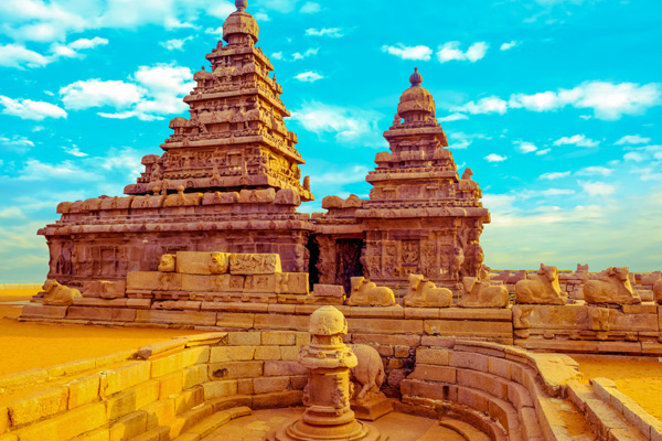 SBT Travels